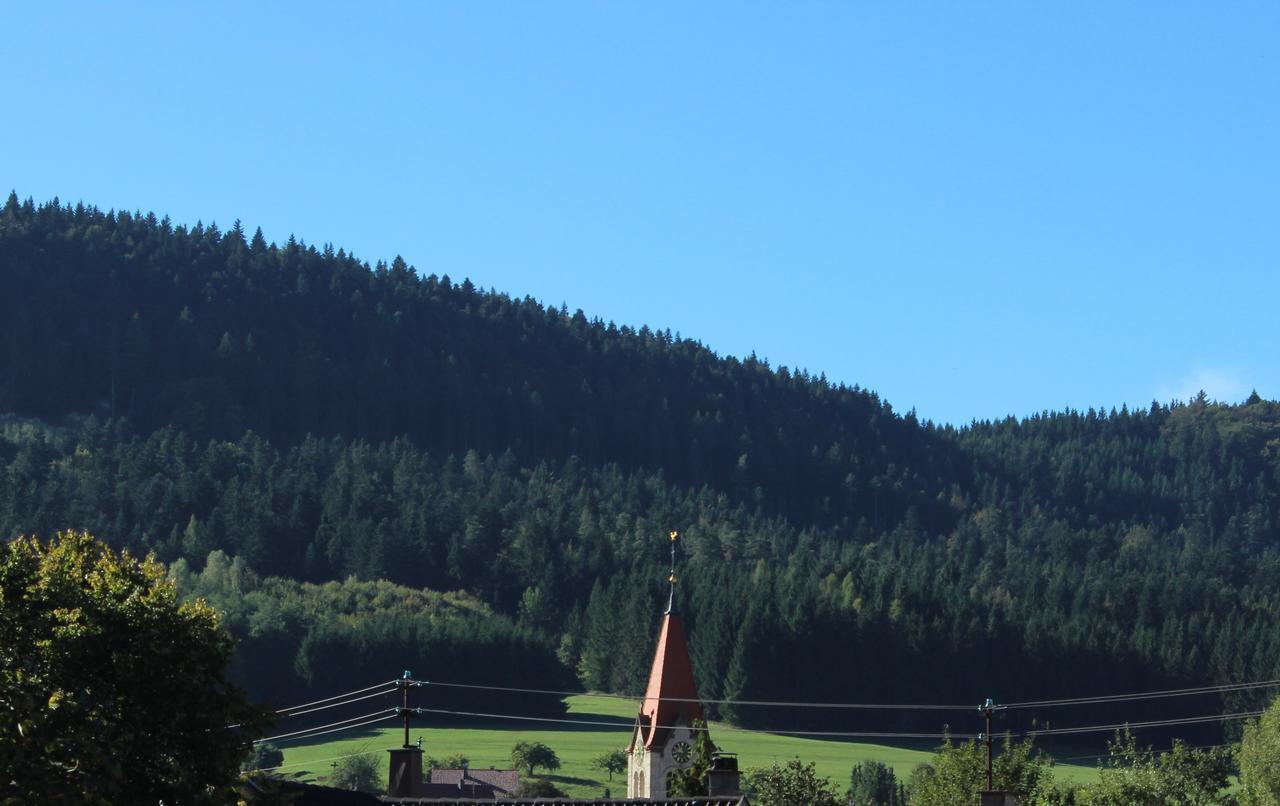 Hotel Heuberger Hof, Wehingen ภายนอก รูปภาพ